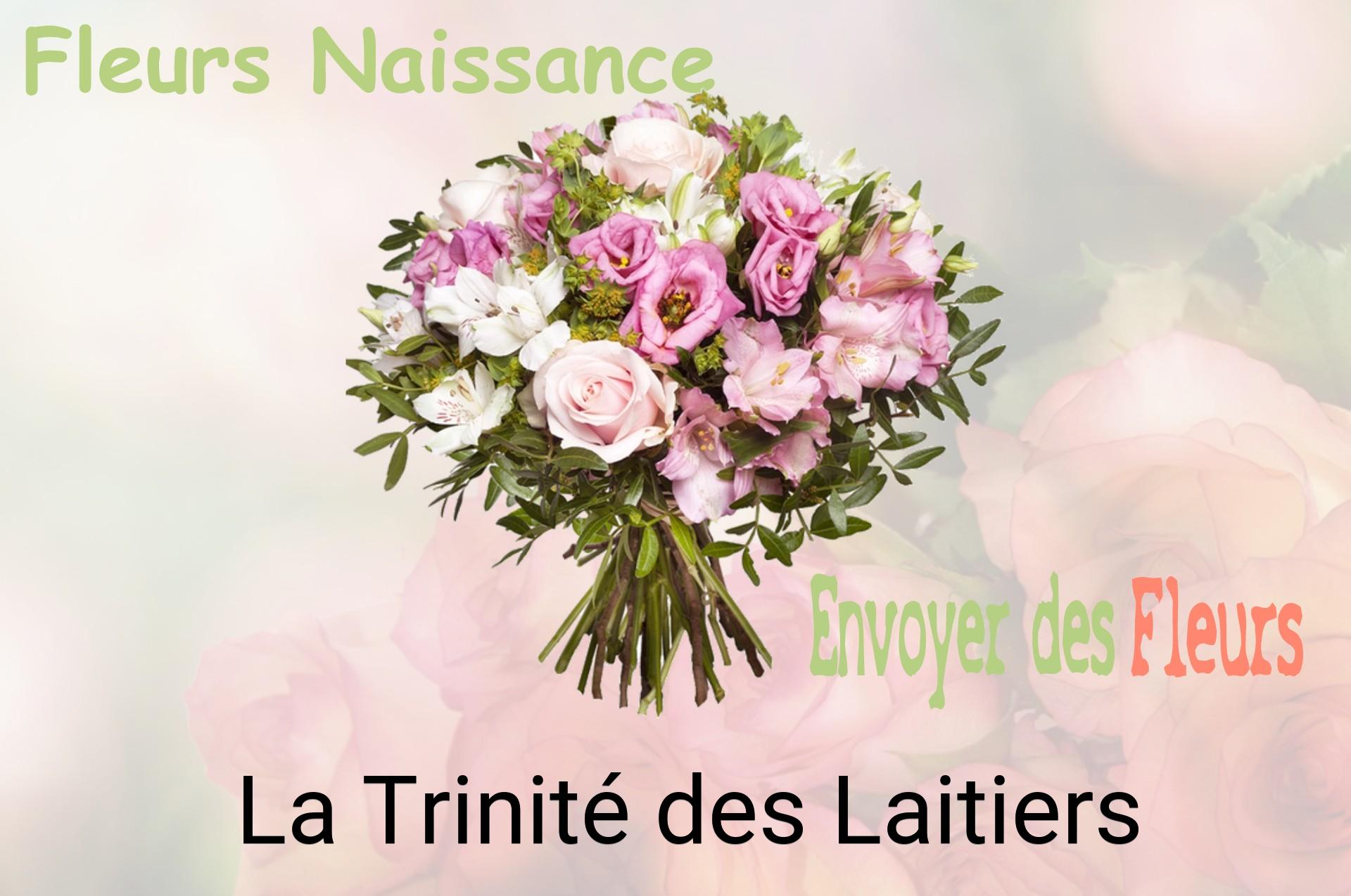 Bouquet de fleurs de naissance livré à La Trinité-des-Laitiers