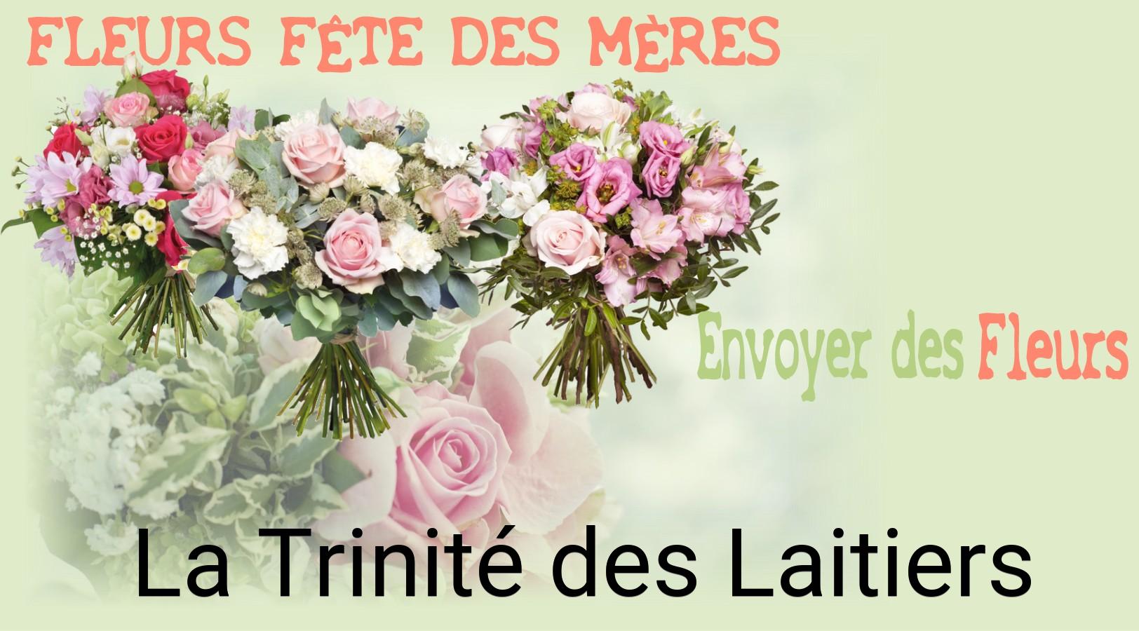 Bouquet de Fête des Mères livré à La Trinité-des-Laitiers